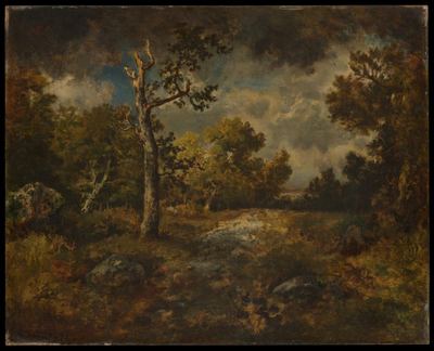 The Edge of the Woods
